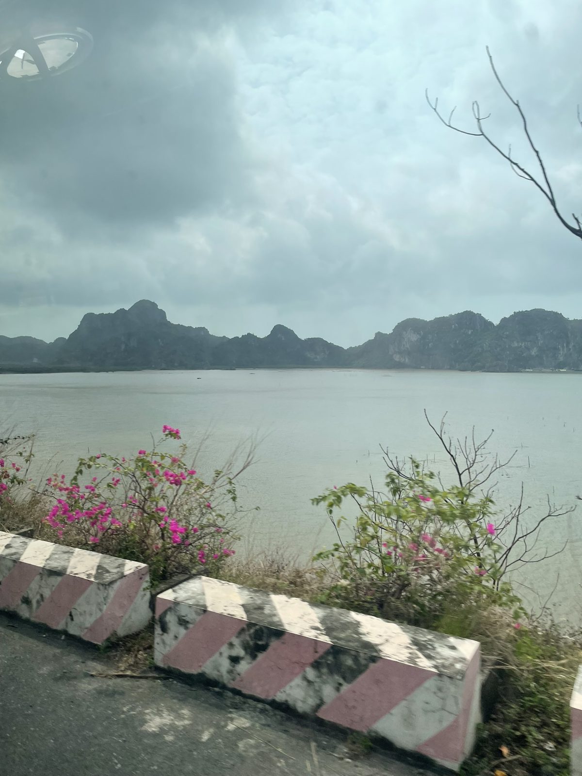 カットバ島のバスの車窓から見た海、岩山、道路沿いの花