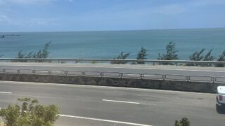 SE7の車窓から見た、乾いた草地と道路の向こうに広がる青い海